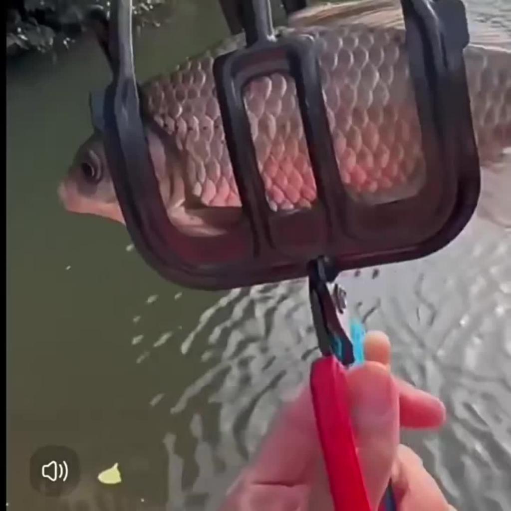 Upgraded Three-Claw Fish Gripper, Non-Slip Metal Fishing Clamp With Enhanced Grip, Waterproof Anti-Slip Fish Controller For Outdoor Fishing Use