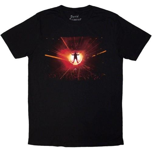 David Gilmour Unisex Adult Luck & Strange Stage Shot Back Print T-Shirt