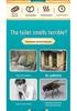 Rural Toilet Deodorizer: Odor Remover & Air Purifier for Urine and Sewage In Public and Farm Bathrooms