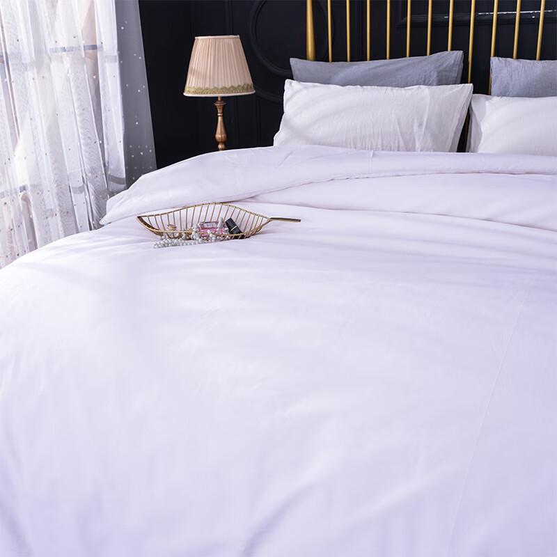 HEJIAN Pure Tussah Silk Quilt