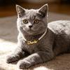 Custom Stainless Steel Name Cat Dog Pet Necklace Personalized Fashion Gorgeous Pearl Chain Suitable for Daily Pet Wear