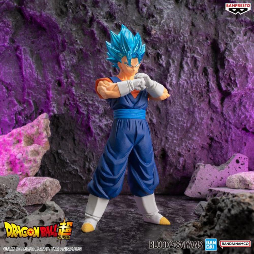 Dragon Ball Super BLOOD OF SAIYANS SPECIAL XIX Super Saiyan God Super Saiyan Vegito