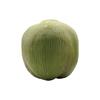 Green Artificial Coconut Plastic Fruit Ornament Fake Coconut Fruit  Weddings
