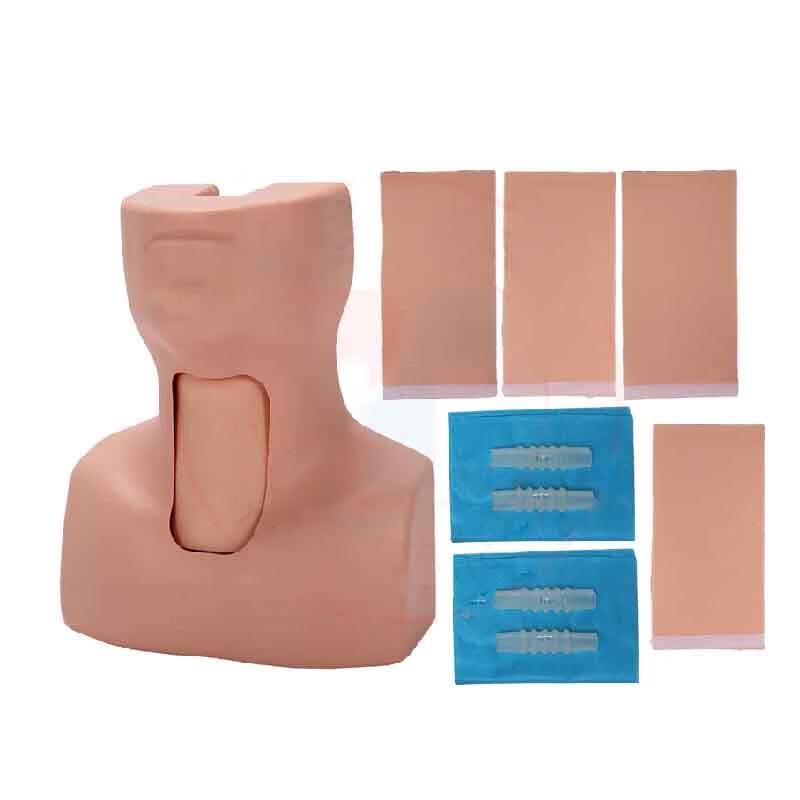 Advanced Cricothyroidotomy and Tracheal Intubation Training Model