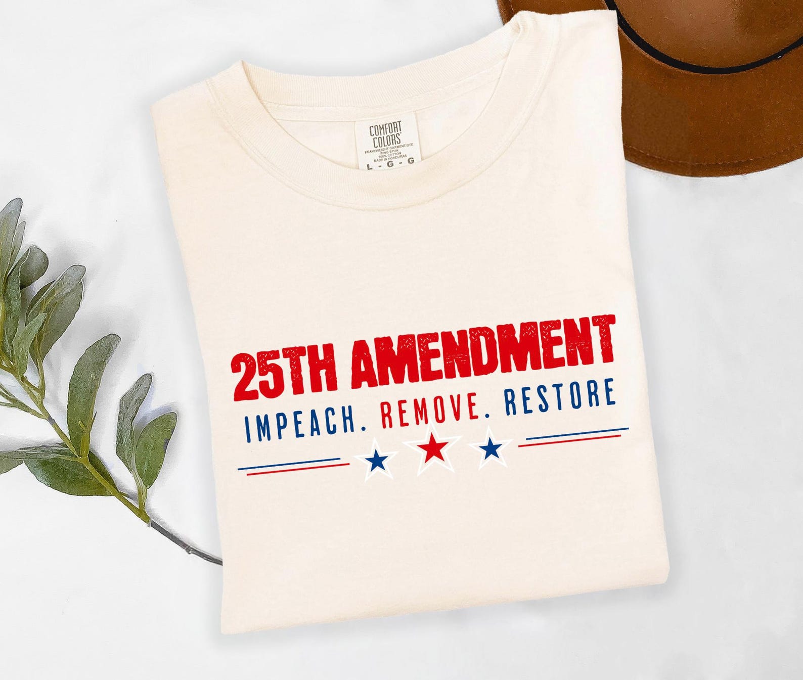 25th Amendment Now Tshirt, Impeach Trump Tee, Political Statement T-shirt, Anti Trump Anti Maga t-shirt, Subtle FDT S