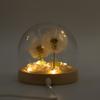 Floral Glow Garden Dome – 2 Dandelions – LED USB