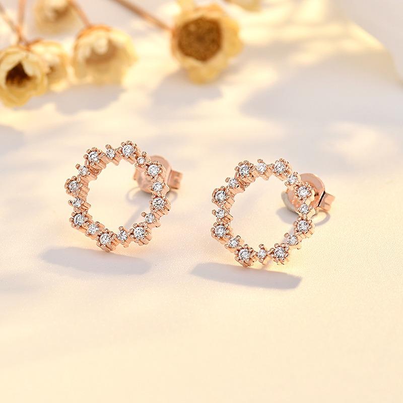 New Zircon Ring Earrings for Women Simple Niche Design and Personalized Versatile Earrings Trendy Earrings