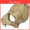 Animal Wolf Mask Halloween Prop With Resin Material For Costume Parties And Events