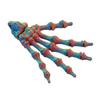 Ghost Hand Decoration Realistic 3D Printed Skeleton Hand Model Haunted House Ornament DIY Project Accent