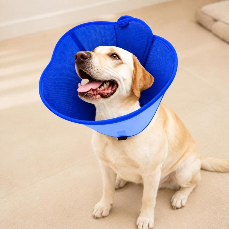 Pet Recovery Collar with Bounded Edges, Wearable Barrier for Care and After-Grooming Pet Recovery, Lick Proof Design