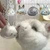 Keyrings Memorial Pet Hair Storage Keychain Hair Container Rabbit Hair Storage Box  Backpack