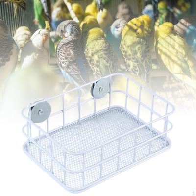 Papageienstange Vogelständer Eisendraht Übung für Nymphensittiche Wellensittiche