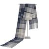 Fashion Design Plaid Men's Scarf Autumn Winter Korean Version Imitation Cashmere Muffler Male Soft Light Tassel Thick Warm Shawl