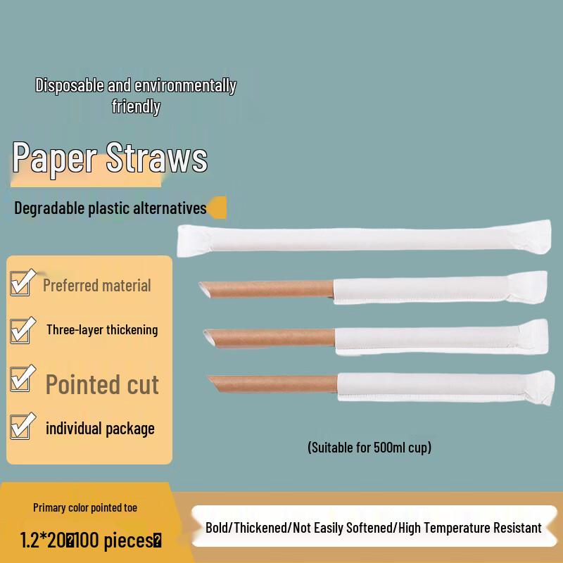 Homeglen Individually Wrapped Paper Straws