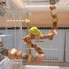 Hamster Toy Hamster Golden Bear Foraging Gnawing Grinding Teeth Wooden Bite String Snack Box Hamster Landscaping Supplies