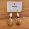 Irregular Color Resin Earrings Geometric Trendy Women Jewelry