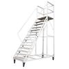 Rodeli Mobile Warehouse Picking Ladder