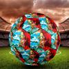 The Legend of Zelda Print Size 5 Soccer Ball, Standard Match Football for Sports Game and Team Practice, Ideal Gift for Soccer Fans