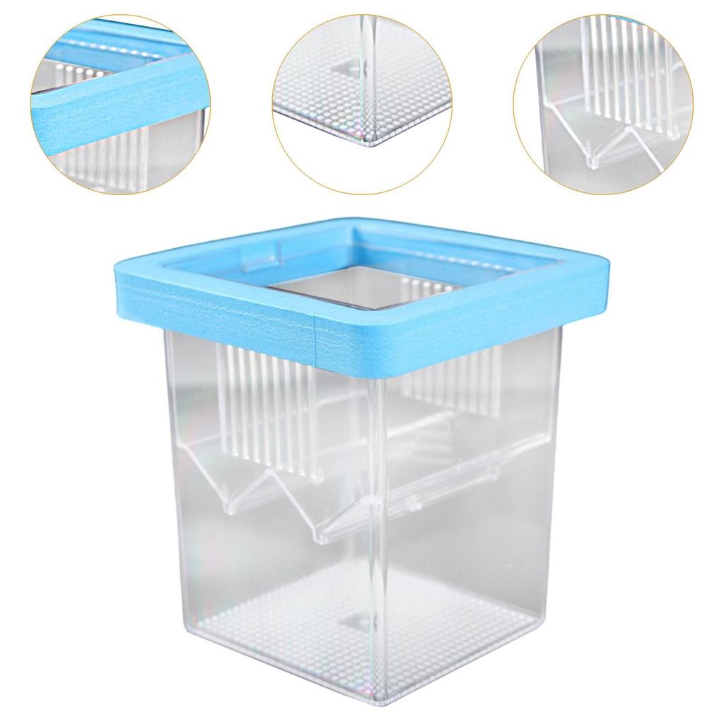Breeder Box for Fish Tank Mini Fish Fry Isolation Case Incubation Box Hatching Box for Shrimp