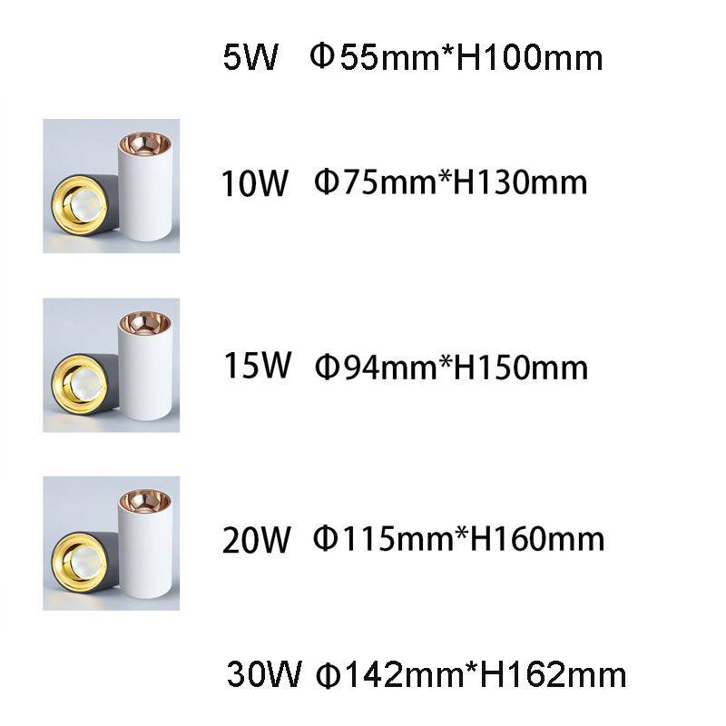 Dimmable LED Ceiling lights Cylinder Livingroom Kitchen Bedroom Foyer Offcer Rose Gold 5W 10W 15W 20W Ceiling lamp