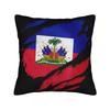 Haiti Haitian Flag Caribbean Souvenir Pillow Cover Comfy Cushion Cover Funny Pillow Case For Couch Sofa Bedroom