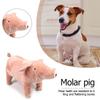Indoor Play Puppy Molar Tooth Dog Chew Toys Dog Sleeping Toy Chew Training Toy Pet Supplies