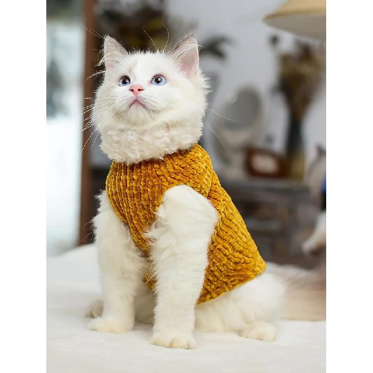 Devon Rex Thickening Plush Coat Cat Sweater Costume Sphynix Clothes Katten Sphynx Pullover Clothing Products for Winter Outwear