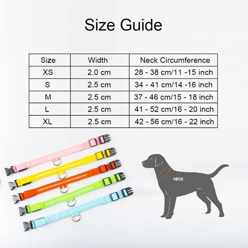 Collare LED per Cani Anti-smarrimento/evita Incidente d'Auto Collare per Cani Ricarica USB Forniture Guinzaglio Collare per Cani Articoli per Animali Domestici