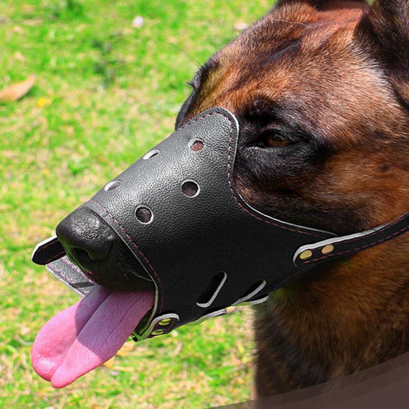 anti chew muzzle