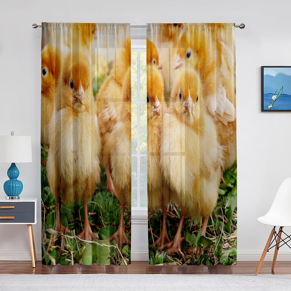 Cute Chick On The Grass Chiffon Sheer Curtains for Living Room Bedroom Home Decoration Animal Transparent Voiles Tulle Curtain