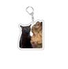 Trendy Cat Head Keychain Fun Meme Image Backpack Small Pendant Wholesale Internet Famous Emotionally Expressive Toy Figure