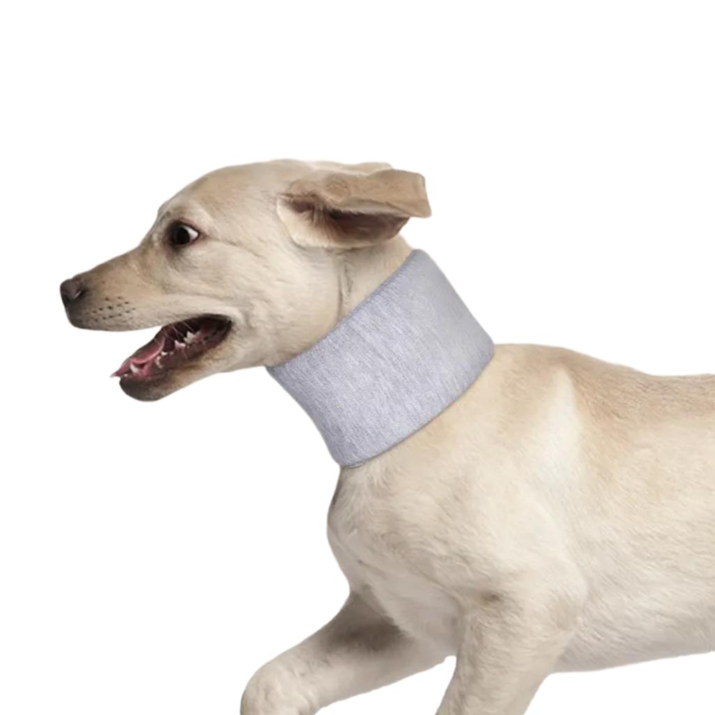 Collier de récupération confortable pour animaux de compagnie pour la protection des plaies Collier de récupération chirurgicale anti-léchage pour chat et chien après une chirurgie