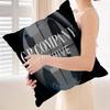 Fashion luxury brand Pillow Gift Home Office Decoration Pillow Bedroom Sofa Car Cushion CoverPillow Case