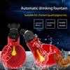 M-Modern-Automatic Filling Poultry Waterer Cups For Auto Watering Drinker System For Chickens, Ducks, Geese, Turkeys Etc. 6Pcs