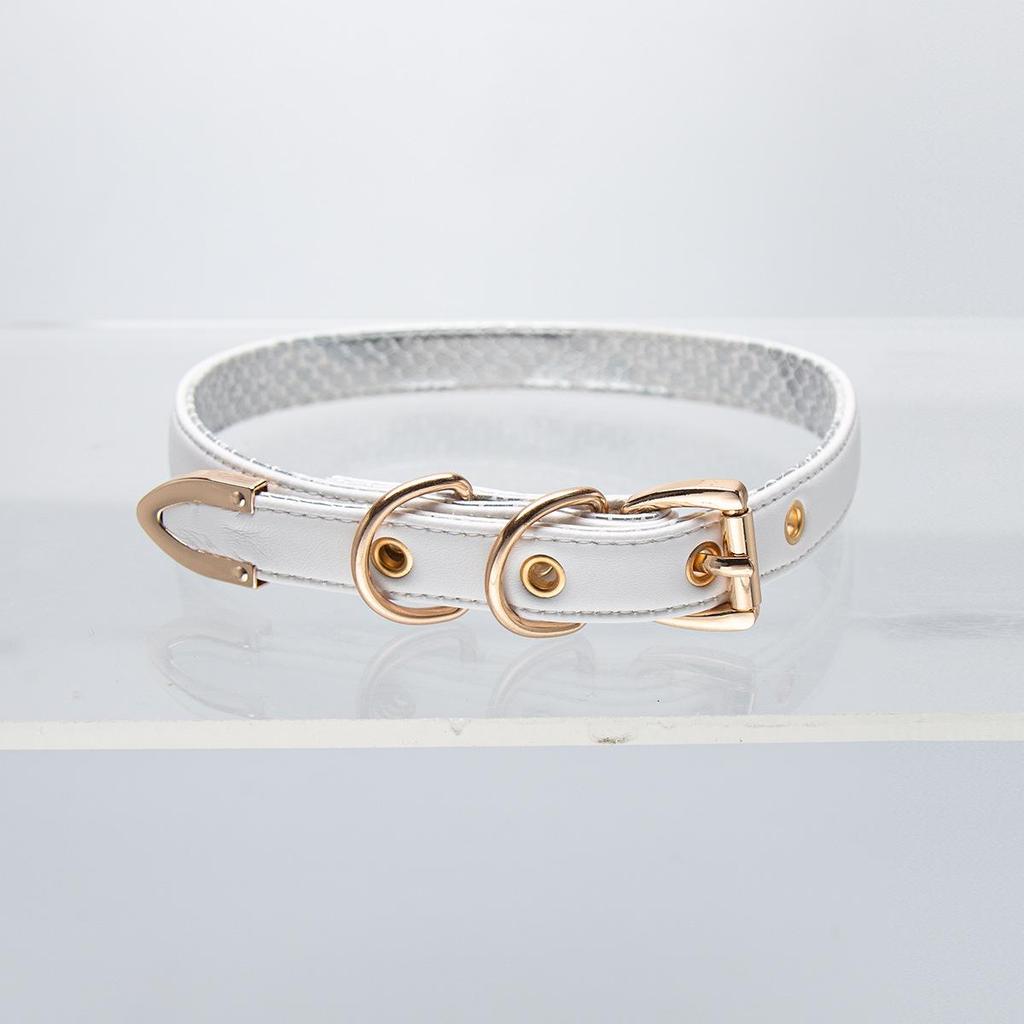 Multicolor Snakeskin Thin Choker Collar - Unique Snake Shape for Women