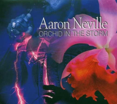 

CD AARON NEVILLE - Orchid in the Storm Non Japan Soul/Funk Used