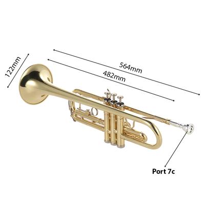 Trąbka Bb B płaska Mosiądz Lakierowana na złoto Wykwintny Trwały Instrument Muzyczny z Ustnikiem Rękawiczkami