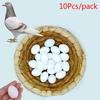 10Pcs NEW Dummy Fake Eggs Hatching Supplies White Solid Plastic Solid Pigeon Eggs