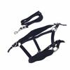 Horse Halter Set Prevent Rubbing Adjustable Horse Training Halter with 2m Horse Leash for Training Daily