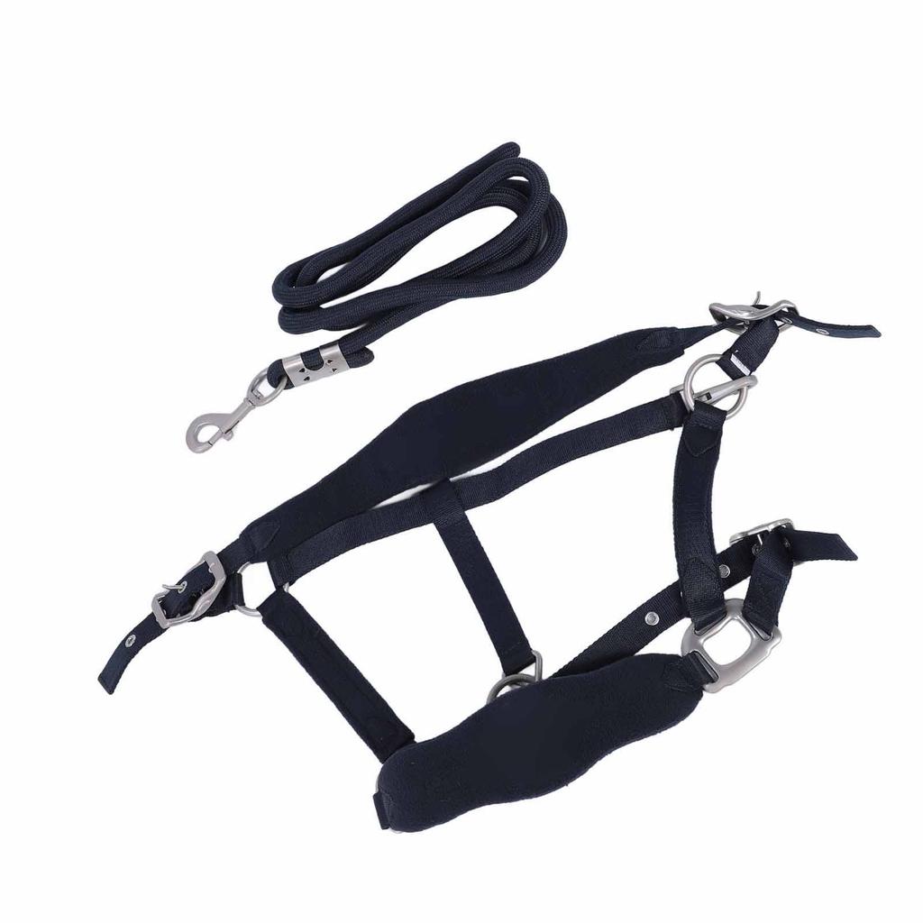 Horse Halter Set Prevent Rubbing Adjustable Horse Training Halter with 2m Horse Leash for Training Daily