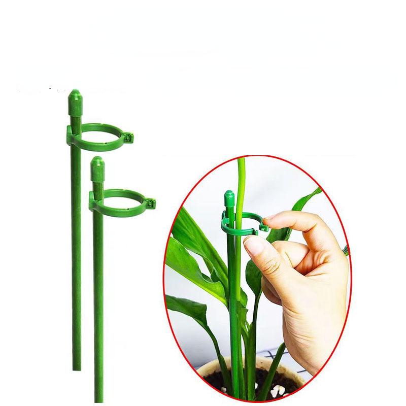 

Phalaenopsis orchid bracket orchid plant fixing rod supporting rod straightening fiberglass bracket climbing vine plant fixing rod