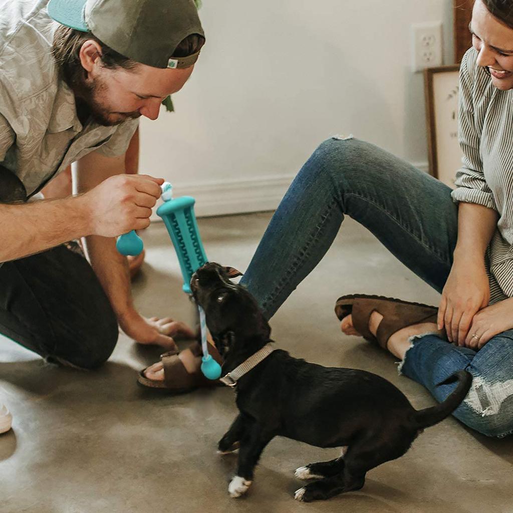 puppy teething sticks