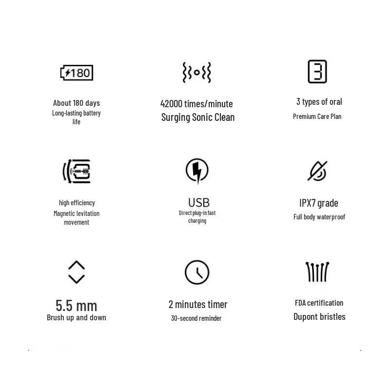 Lebooo C101 Sonic Electric Toothbrush