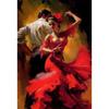 Graffiti Flamenco Dancer In Red Dress  Sexy Dancing Girl Poster Canvas Painting Wall Art for Home Bar Interior Decor Perfect Gif