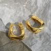 Real Gold Electroplated French Geometric Metal Earrings Women's Niche Design New Temperament Ear Buckles Cold Wind Earrings