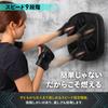 BODY RAJA Music Boxing Machine, Wall-Mounted, Bluetooth, with Gloves, Smartphone Connection (Black)