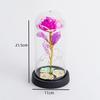 Eternal Flower Glass Cover Luminous Gold Foil Rose Christmas Valentine's Day Gift Creative Night Light Ornament