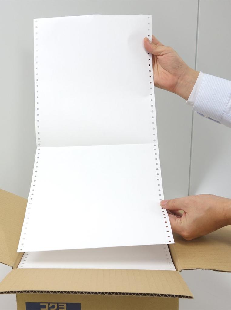 KOKUYO Continuous Slip Paper Blank 10X11 2000 Sheets EC-M5101