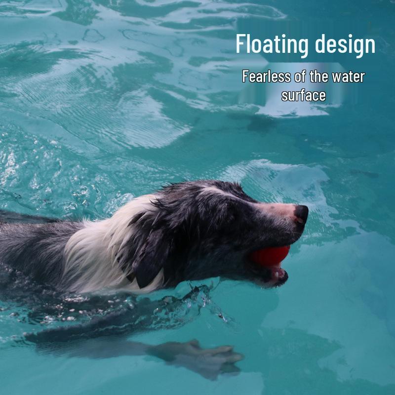 Meianju Dog Chew Ball: Durable Rubber Toy for Fetching and Biting