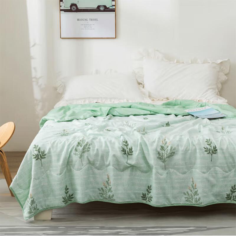 Dohouxi Mugwort Scented Antibacterial Summer Quilt